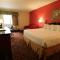 Ramada by Wyndham Bolingbrook - Bolingbrook