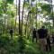 Asim Paris Guesthouse & jungle trekking - 武吉拉旺