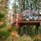 Treehouse dome - Vidnes