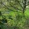 The Hobbit House and Secret Garden