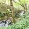 Middlehope Cottage - Bishop Auckland