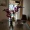 Guest House Ruh Achari