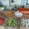 Guest House Bake