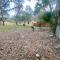 Peaceful renovated house centrally located