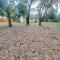 Peaceful renovated house centrally located