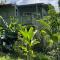 PonoMana Oasiss - Serenity Cottage