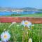 The Ferry Boat - Portmagee