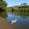 Riverbend Cottage Cabin - Little Heaven - Nambour