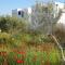 Aronis Plaka Naxos