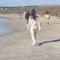 Pampering Beach Dream, A Stunning Luxury Retreat at Yialos Village