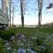 Archies Lakeside Cabin