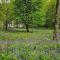 Pinetree Cottage, dog friendly, Holiday let, Callander Invertrossachs