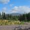 Pinetree Cottage, dog friendly, Holiday let, Callander Invertrossachs