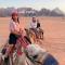 Desert Island Camp - Wadi Rum