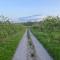 Orchard Luxe Glamping Pod