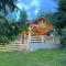 Carpathian Log Home