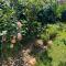 Holiday Home Vesna