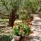 Oliveto e mare