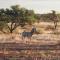 Jansen Kalahari Guest Farm