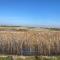 Entre plage et marais - Bourcefranc