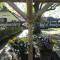 B&B De Willemshoeve
