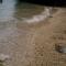 Apartments Cajic