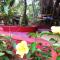 Namaste Yoga Farm - Gokarna