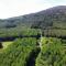 MT. Leinster View Cabin - Enniscorthy