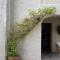 Villa VERA - private villa for 8 guests with pool
