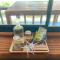 Hijo Resorts Davao