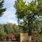 Virginia - Home in Helmata Argostoli