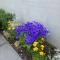 Luxury holiday rental with sea views on the Wild Atlantic Way