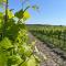 La Colline de Tilleul - Les Deux Puits - Cosy Cottage with swimming pool near Aubeterre - Saint-Romain