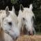 Ferme Clatot