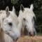 Ferme Clatot - Les Trois Pierres