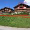 Charmant appart style chalet, simple et soigné - 大博尔南