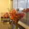 Residencial Lucernaré - Pontal - Itacaré