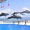 The Luigans Spa and Resort