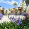 Kyrios Lounge restful studio with private pool and car available - Carrascal