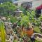 Beautiful Garden Fine Day House Beautiful Garden Fine Day House