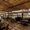 Cavo Zoe Seaside Hotel