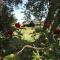 Owls Nest - Peace and Tranquility near Woodbridge & Framlingham in rural Suffolk - وودبريدج