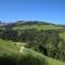 Ferienwohnung Bergpanorama WILD600 - Auffach