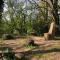 Appartement au calme nature et centre ville