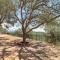 Fire Pit and Views Falconcrest Cottage in Payson!