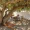 St Augustine Cottage with Fire Pit - Walk to Pier!