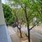 Apartment Alea