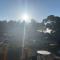 Silver Birch Lodge