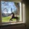 Horse and Hound