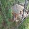 Treehouse U rybníka - Osečná